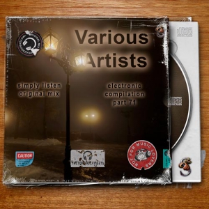 VA - Electronic compilation part 71