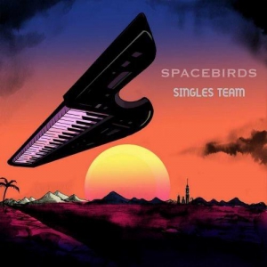  Spacebirds - Singles Team (Singles Collection 2008-2023)