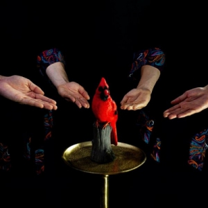  Funhouse Mirrors - Red Bird