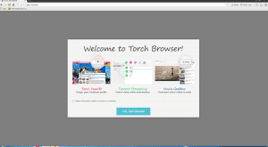 Torch Browser 36.0.0.8010 [Multi/Ru]