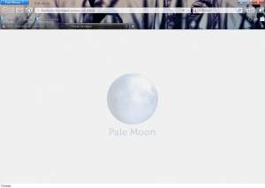 Pale Moon 25.7.2 + Portable + tools [Ru/En]