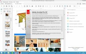 Adobe Acrobat Pro DC 2015.009.20077 [Multi/Ru]