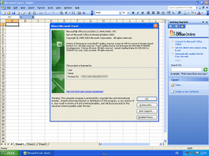 Microsoft Office Professional 2003 SP3 ( 02.01.2016) RePack by Serg16 [En]