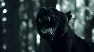  / The 100 (3 : 1-16   16) | NewStudio