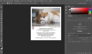 Adobe Photoshop CC 2015.1.2 (20160113.r.355) RePack by D!akov (12.06.2016) [Multi/Ru]