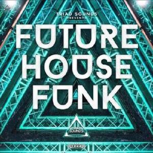 VA - Future House Reality Funk