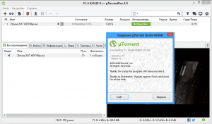 uTorrent 3.5.0 build 43804 Pro Portable by 379 [Multi/Ru]