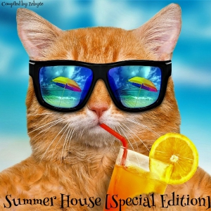 VA - Summer House: Special Edition [Compiled by ZeByte] 