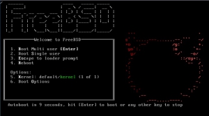 FreeBSD 12.0 [amd64] 1xDVD