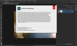 Adobe Photoshop 2020 21.0.3 x64 Lite Portable by punsh (with Plugins) [Multi/Ru]