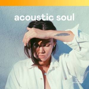 VA - Acoustic Soul