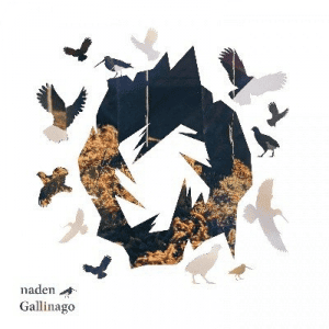 Naden - Gallinago