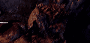   3:  
