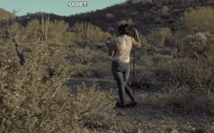    /  
