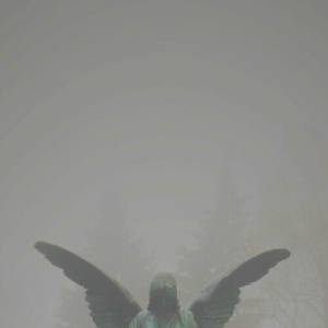 Jesu - Pity / Piety