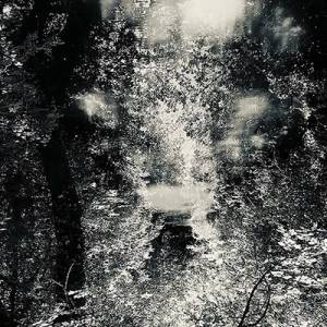  Grief Symposium - ...In The Absence of Light