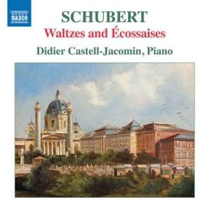 Didier Castell-Jacomin - Schubert