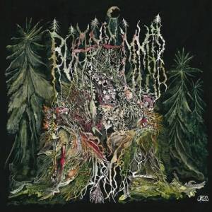 Boarhammer - II: Chemognosis - A Shortcut To Mushrooms