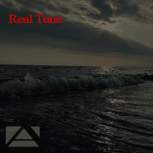  VA - Real Tune