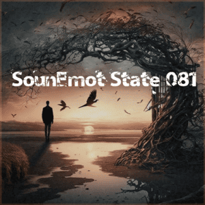  VA - SounEmot State [81]