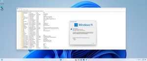 Microsoft Windows 11 [10.0.22631.3737], Version 23H2 (Updated June 2024) -    Microsoft MSDN/VLSC [En]