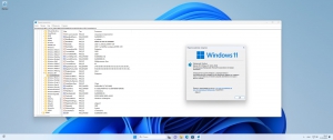 Microsoft Windows 11 [10.0.22621.3737], Version 22H2 (Updated June 2024) -    Microsoft MSDN/VLSC [Ru]