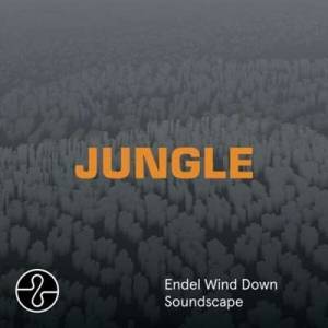  The Blaze - Jungle