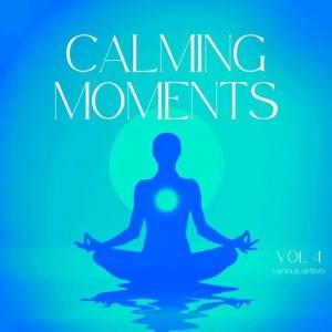  VA - Calming Moments, Vol 4