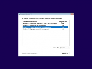 Windows 11 4in1 23H2 22631.3593 by SmokieBlahBlah 2024.05.31 [Ru]