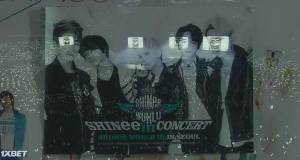   Shinee 