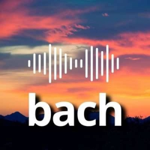  VA - Bach