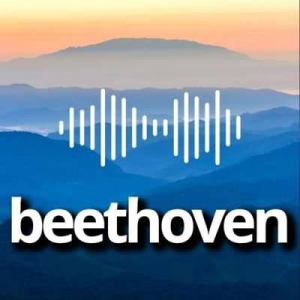  VA - Beethoven
