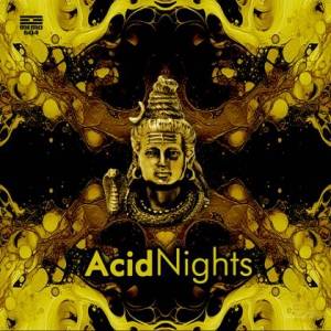  VA - Acid Nights