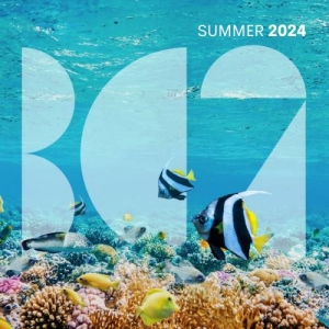  VA - BC2 Summer 2024