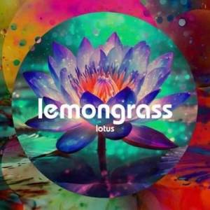  Lemongrass - Lotus