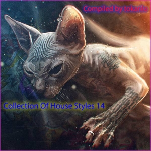  VA - Collection Of House Styles 14 [Compiled by tokarilo]