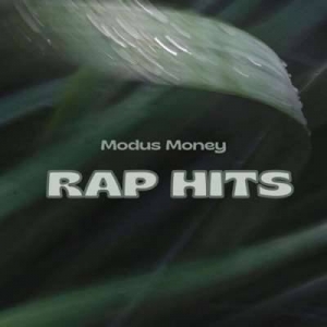  VA - Modus Money - Rap Hits