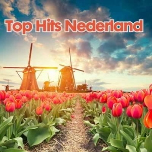  VA - Top Hits Nederland