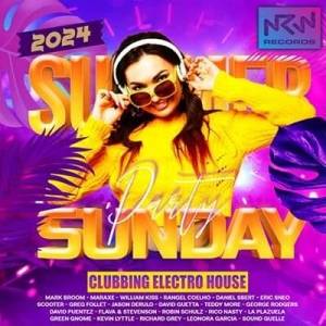  VA - Summer Sunday EDM Party