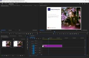 Adobe Premiere Pro 2024 (24.5.0.57) Portable by XpucT [Ru/En]