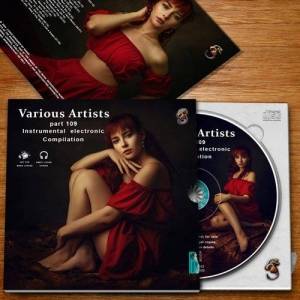  VA - compilation  part 109 Instrumental electronic