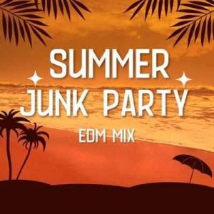  VA - Summer Junk Party EDM Mix