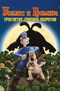   :  -
