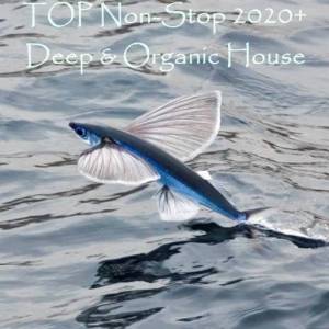  VA - TOP Non-Stop 2020+. Deep & Organic House