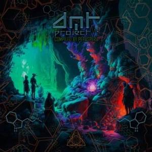  VA - Formula DMT