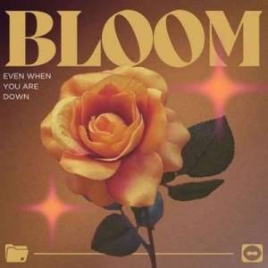  VA - Bloom Even When You Are Down