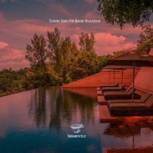  VA - Elegant Tunes for Resort Relaxation