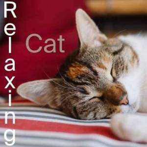  VA - Relaxing Cat