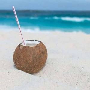  VA - just fell out of a coconut tree