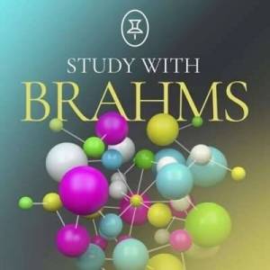  VA - Study with Brahms